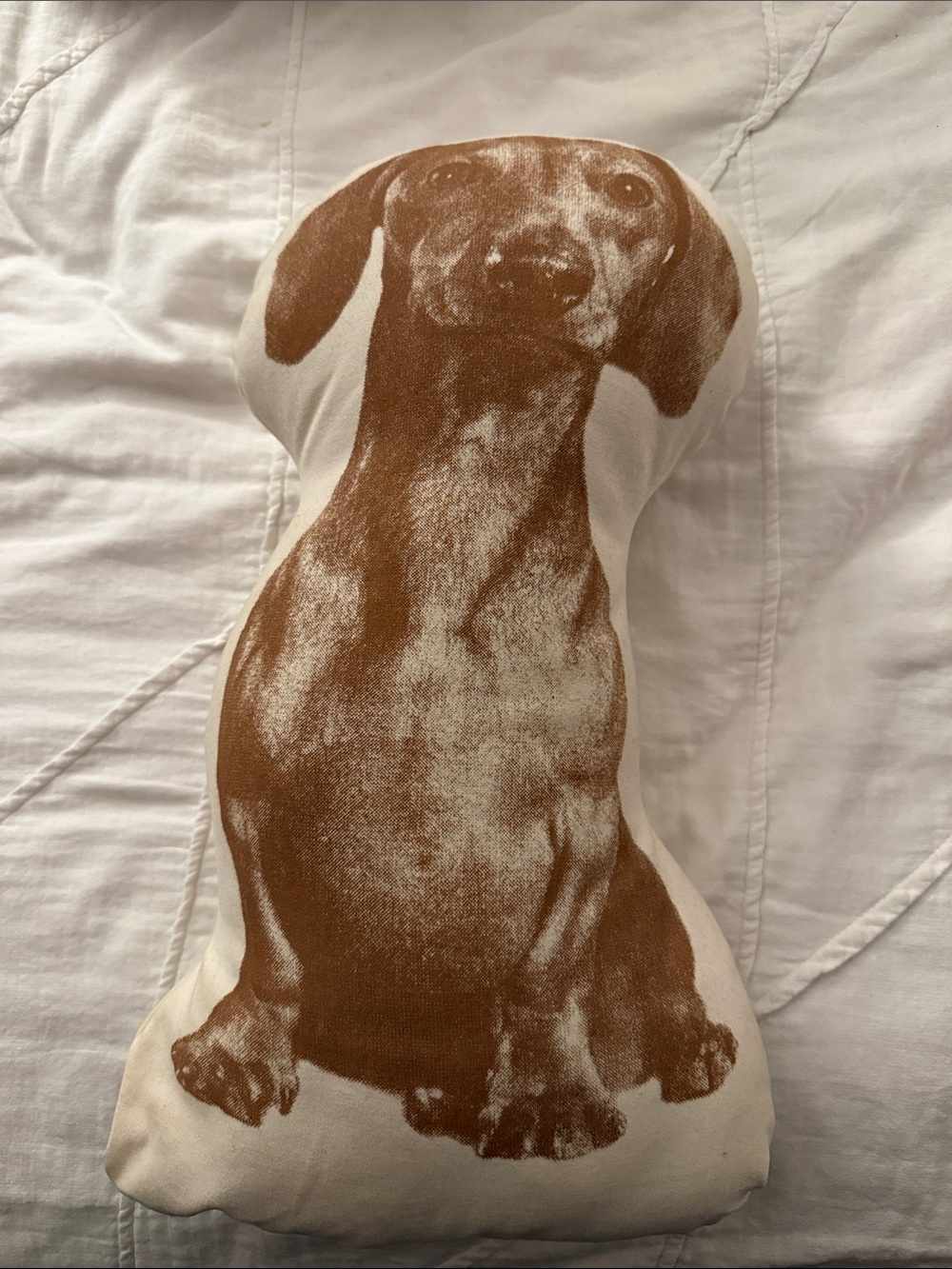 Dachshund Printed Pillow